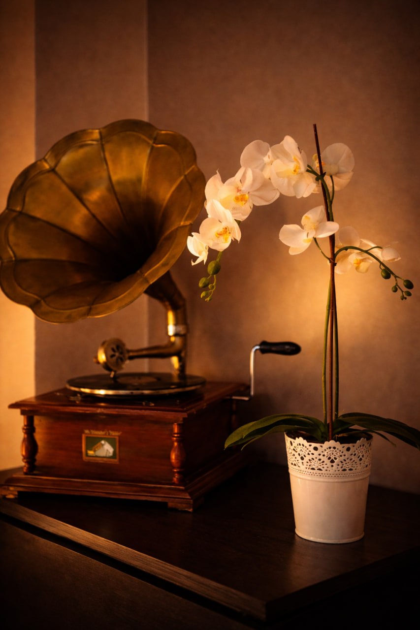 Music Room photo 10